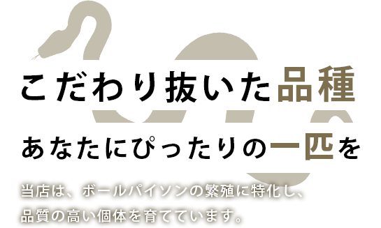 こだわり抜いた品種・あなたにぴったりの一匹を